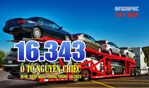(Infographic) Nhập khẩu ô tô tháng 10 giảm lượng nhưng tăng mạnh kim ngạch