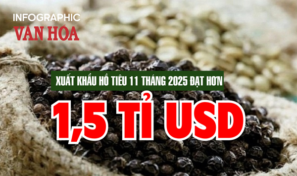 (Infographic) Ngành hồ tiêu đạt kỷ lục xuất khẩu hơn 1,5 tỉ USD trong 11 tháng năm 2025