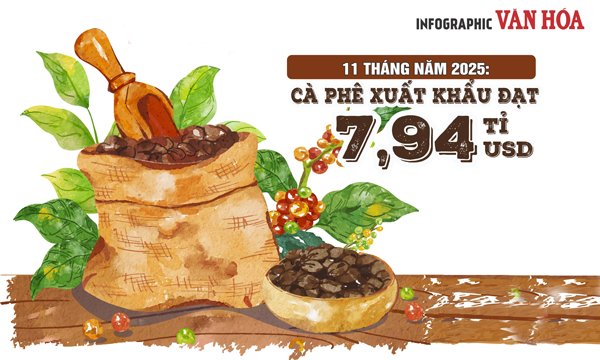 (Infographic) Cà phê Việt Nam lập kỷ lục xuất khẩu 7,94 tỉ USD sau 11 tháng