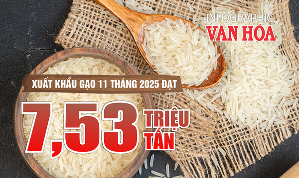 (Infographic) 11 tháng 2025: Xuất khẩu gạo giảm sâu, kim ngạch lao dốc 27,4%