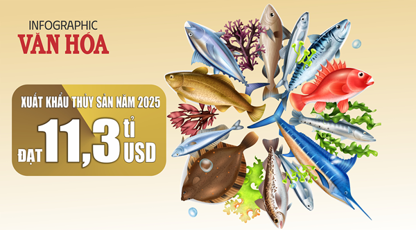 (Infographic) Xuất khẩu thủy sản năm 2025 đạt 11,3 tỉ USD, tăng trưởng 12,4%
