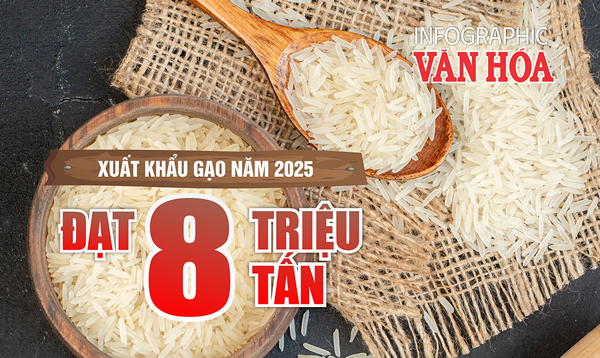 (Infographic) Xuất khẩu gạo tháng 12 khởi sắc, nhưng cả năm 2025 vẫn giảm so với năm trước