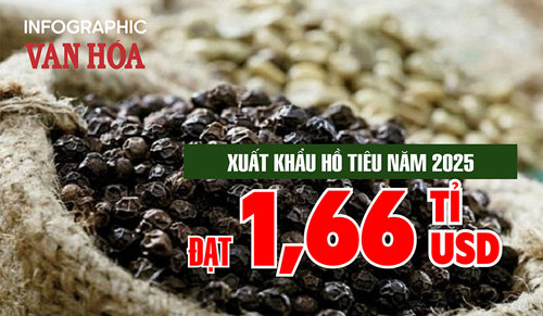 (Infographic) Xuất khẩu hồ tiêu năm 2025 đạt 1,66 tỉ USD nhờ giá tăng mạnh