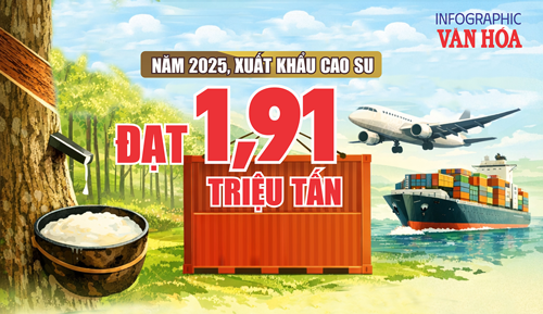 (Infographic) Xuất khẩu cao su năm 2025 giảm về lượng, kim ngạch vẫn đạt 3,33 tỉ USD
