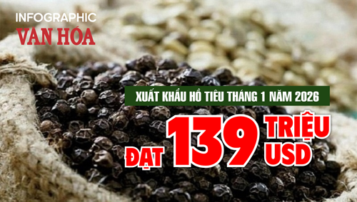 (Infographic) Xuất khẩu hồ tiêu tháng 1.2026 đạt 139 triệu USD, tăng 66,2%