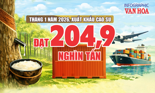 (Infographic) Kim ngạch cao su vượt 362 triệu USD, tăng trưởng ấn tượng đầu năm