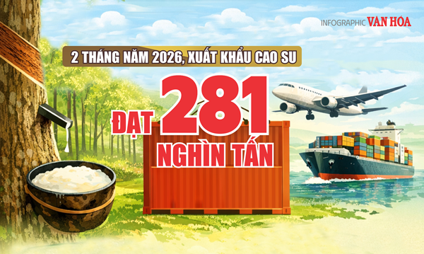 (Infographic) Xuất khẩu cao su Việt Nam đạt hơn 503 triệu USD sau 2 tháng