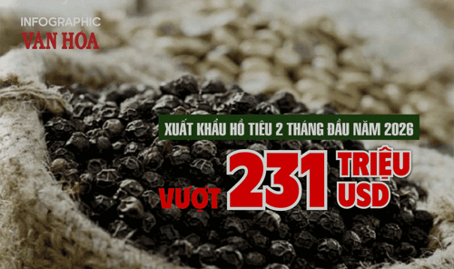 (Infographic) Xuất khẩu hồ tiêu 2 tháng đầu năm 2026 vượt 231 triệu USD, giá tăng mạnh