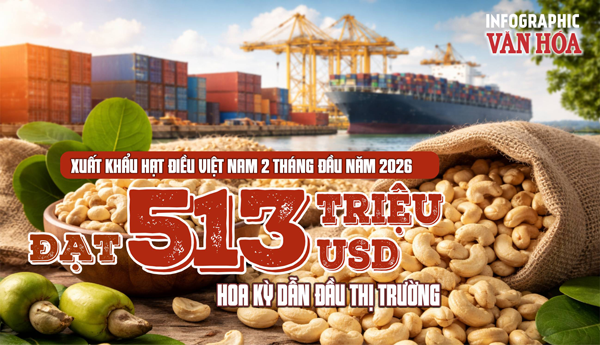 Xuất khẩu hạt điều Việt Nam 2 tháng đầu năm 2026 đạt 513 triệu USD