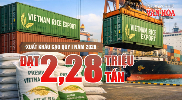 Xuất khẩu gạo quý I.2026 đạt 2,28 triệu tấn nhưng giá giảm mạnh, kim ngạch sụt giảm