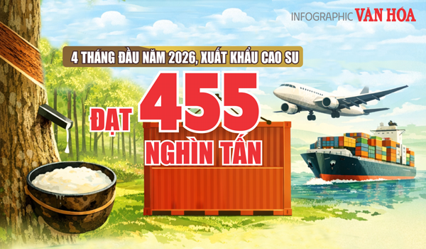 Xuất khẩu cao su 4 tháng đầu năm 2026 đạt 455 nghìn tấn, thu về 844,7 triệu USD