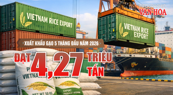 Xuất khẩu gạo 5 tháng đầu năm 2026 đạt 4,27 triệu tấn, thu về 2 tỉ USD
