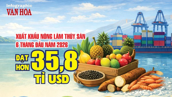 Xuất khẩu nông lâm thủy sản 6 tháng đầu năm 2026 đạt hơn 35,8 tỉ USD