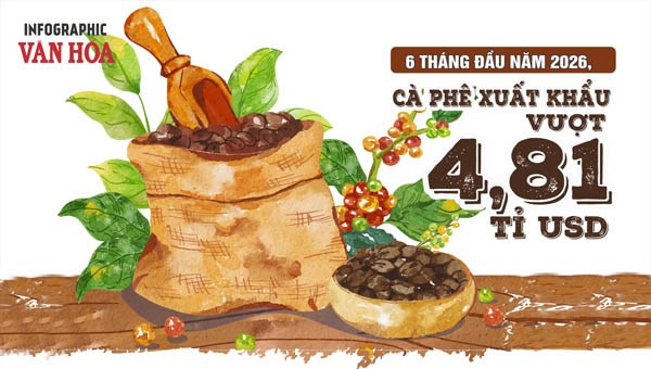 Xuất khẩu cà phê 6 tháng đầu năm 2026 vượt 4,81 tỉ USD