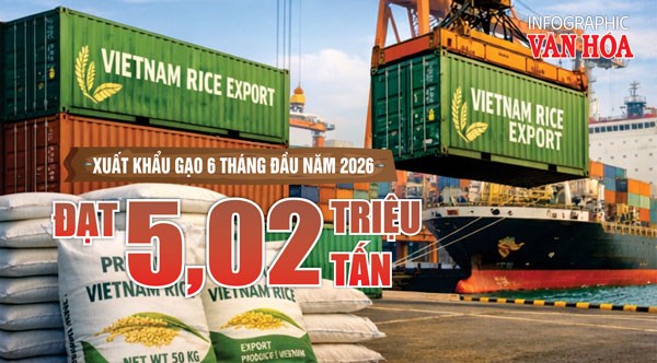 Xuất khẩu gạo Việt Nam 6 tháng đầu năm 2026 đạt 5,02 triệu tấn, thu về 2,38 tỉ USD