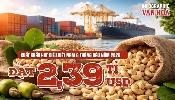 Xuất khẩu hạt điều Việt Nam 6 tháng đầu năm 2026 đạt 2,39 tỉ USD
