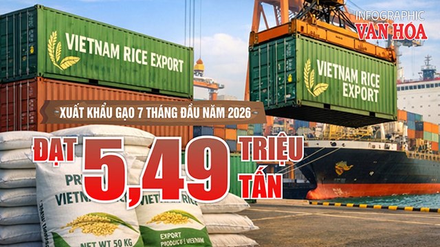 Xuất khẩu gạo 7 tháng năm 2026 đạt 5,49 triệu tấn, thu hơn 2,6 tỉ USD