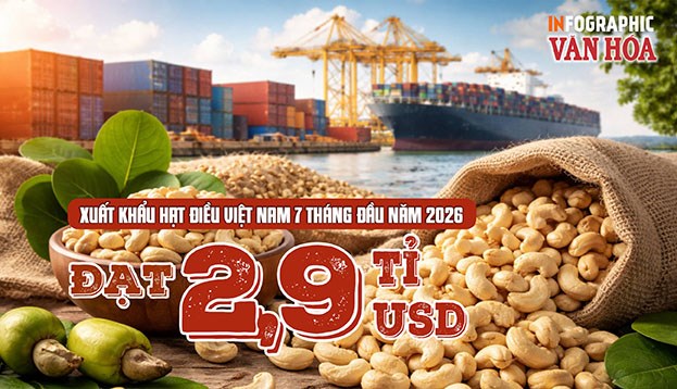 Xuất khẩu hạt điều Việt Nam đạt 2,9 tỉ USD, Trung Quốc dẫn đầu