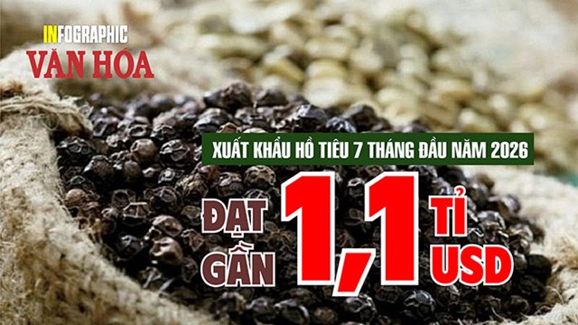 Hồ tiêu Việt Nam thu gần 1,1 tỉ USD sau 7 tháng, tăng 11,1% so với cùng kỳ