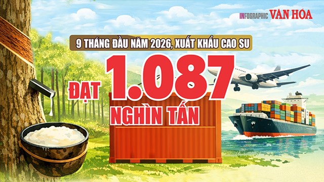 Cao su Việt Nam thu gần 2,2 tỉ USD, Trung Quốc chiếm gần 59%