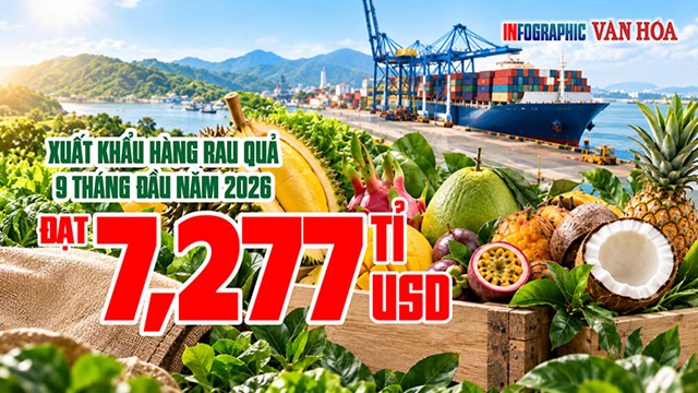 Xuất khẩu rau quả giảm 17,8%, Trung Quốc chiếm gần 65%