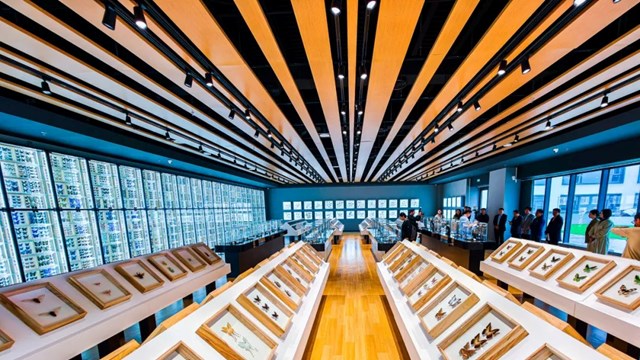 Bên trong Bảo tàng Côn trùng lớn nhất Bắc Kinh