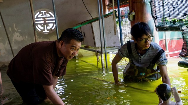 Câu chuyện phía sau tấm mành tre thủy đình 