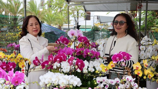 Rực rỡ sắc lan ở chợ hoa Tết Quảng Ngãi