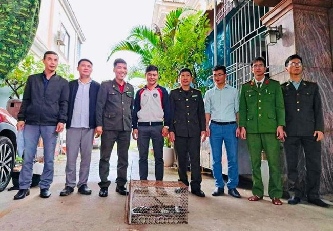 Người dân bàn giao trăn đất quý hiếm cho Vườn quốc gia Vũ Quang - Anh 1