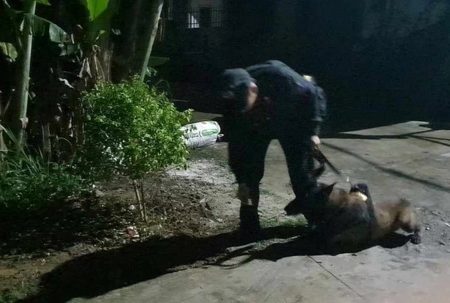 Huy động chó nghiệp vụ tìm kiếm bé trai hai tuổi mất tích - Anh 1