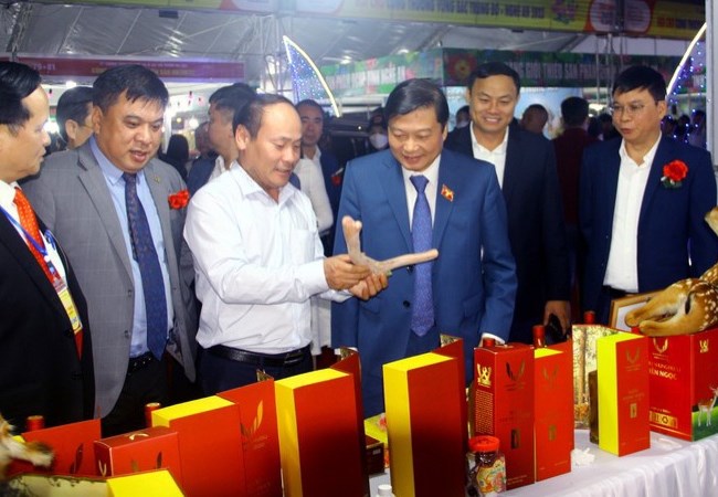 Hơn 250 gian hàng tham gia Hội chợ Công thương vùng Bắc Trung Bộ - Nghệ An - Anh 3