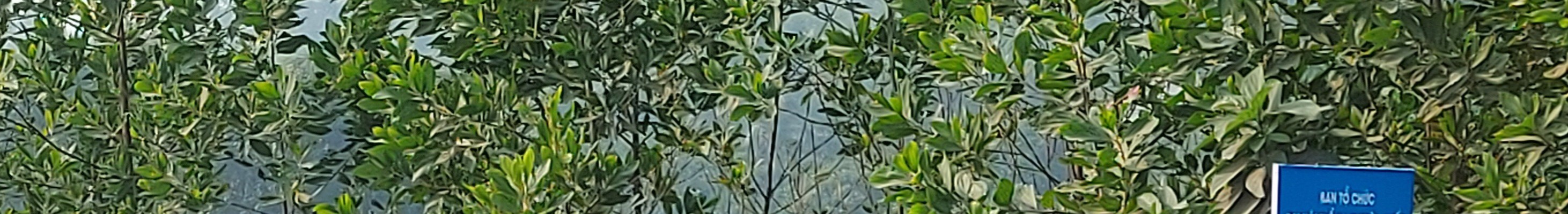 TP.HCM và An Giang 