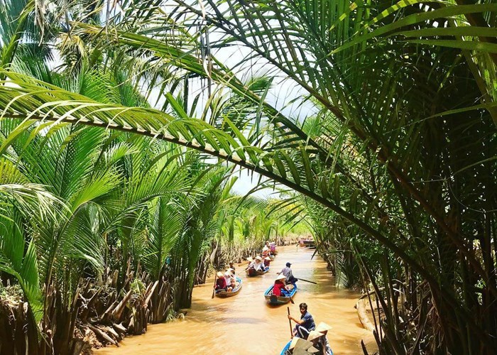 Lễ hội Dừa 2019:  Hàng nghìn tay máy phác họa khoảnh khắc  “Tôi yêu Bến Tre” - Anh 3