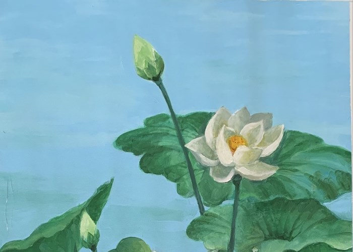 Mạng xã hội Phật giáo Butta trao tặng 108 bức tranh sen tri ân người yêu mến Phật giáo - Anh 2