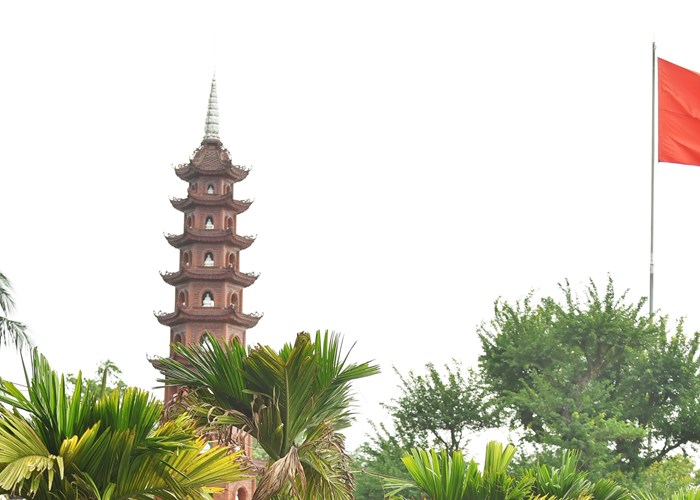 Trao tặng 108 bức tranh sen, truyền động lực vượt qua khó khăn do đại dịch Covid-19 - Anh 2