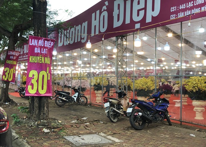 Đào, mai, quất “đồng giá” ngày cận Tết - Anh 10