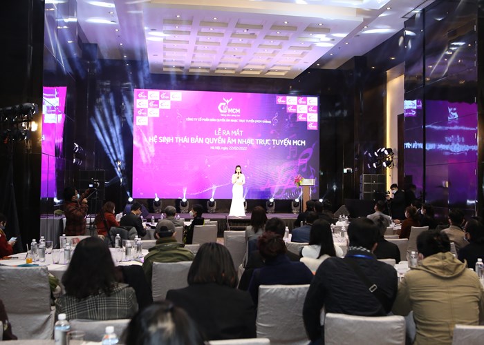 Hệ sinh thái bản quyền âm nhạc trực tuyến: “Chìa khóa” minh bạch - Anh 5