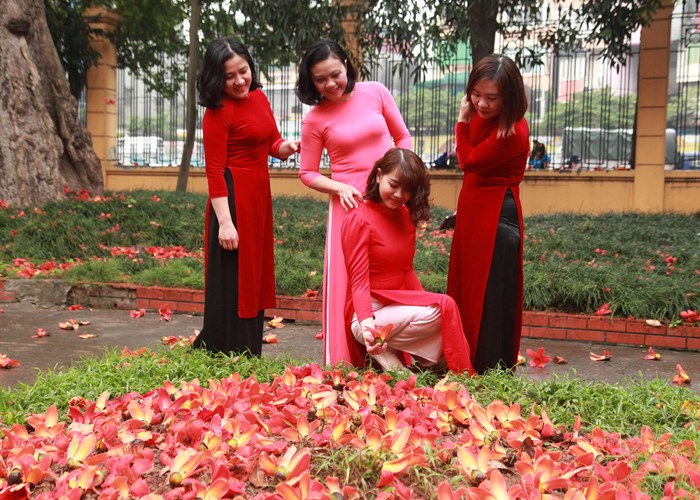 Lãng mạn Bác Cổ- Mùa hoa gạo - Anh 7