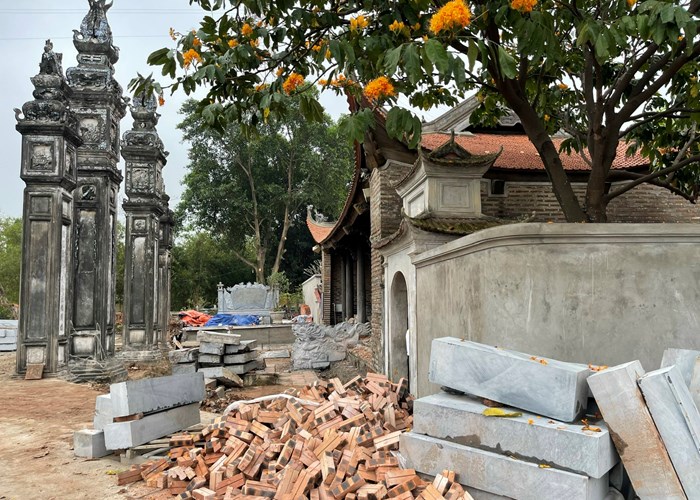 Tự ý chặt hạ cây đa, Ban Khánh tiết đình Chèm nhận trách nhiệm - Anh 3