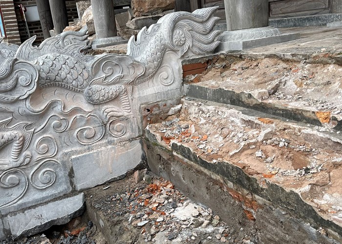 Tự ý chặt hạ cây đa, Ban Khánh tiết đình Chèm nhận trách nhiệm - Anh 4