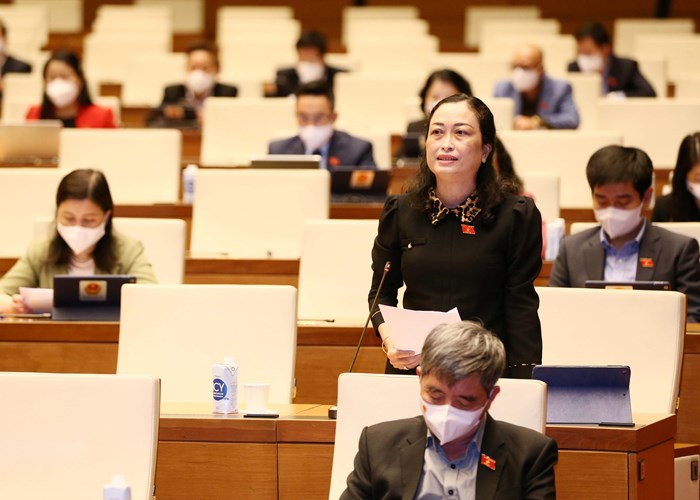 Cơ quan soạn thảo Luật Điện ảnh (sửa đổi) đã nghiên cứu kỹ luật của 20 quốc gia - Anh 5