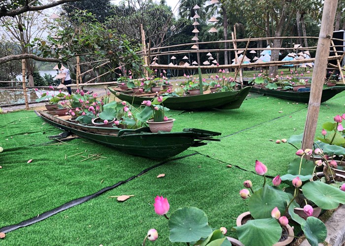 Đắm mình trong không gian “Sen trong đời sống văn hóa Việt” - Anh 3