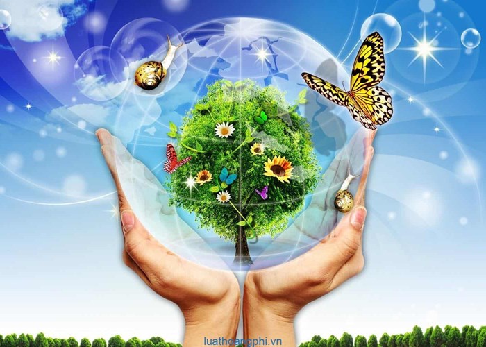 Cùng “Chăm sóc hành tinh của chúng mình” - Anh 2