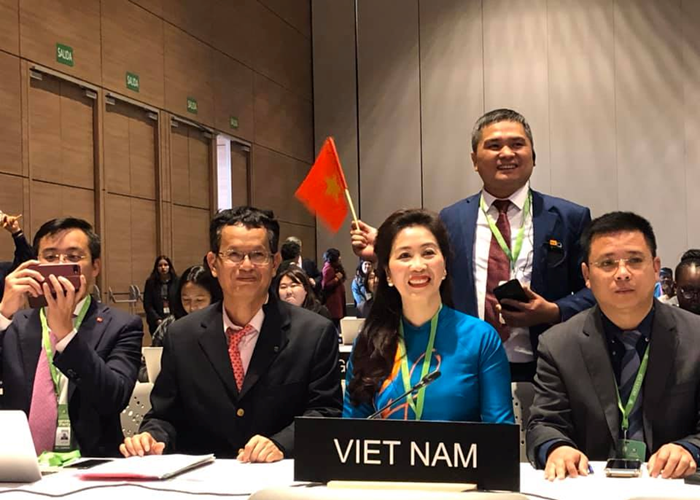 Việt Nam thực hiện Công ước 2003 của UNESCO về bảo vệ di sản văn hóa phi vật thể - Anh 3