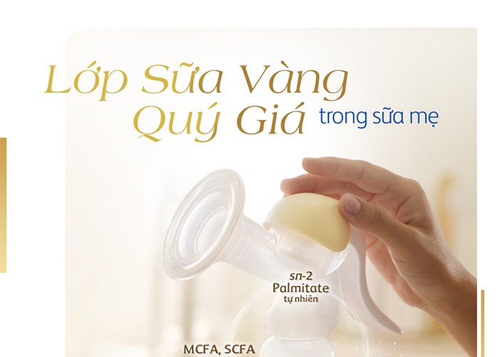 Lần đầu tiên, Friso Prestige với công thức dinh dưỡng đột phá và độc quyền có mặt tại thị trường Việt Nam - Anh 2