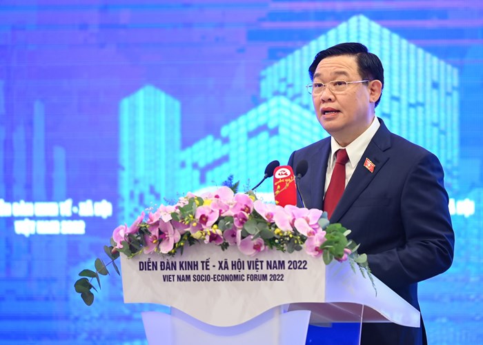 Diễn đàn Kinh tế 2022: Phục hồi và phát triển bền vững - Anh 1
