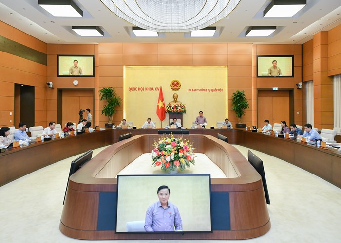 Trình Quốc hội nghị quyết về thí điểm đấu giá biển số ô tô - Anh 2