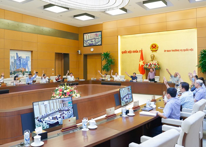 Trình Quốc hội nghị quyết về thí điểm đấu giá biển số ô tô - Anh 3