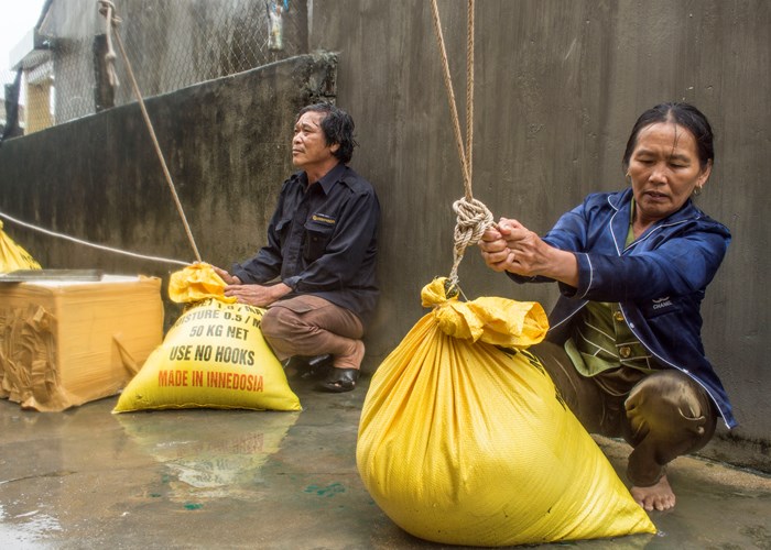 Hối hả chống bão Noru - Anh 1
