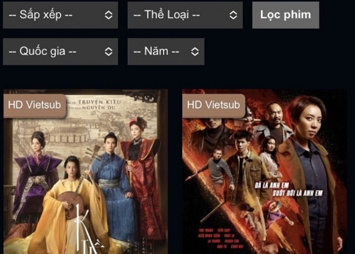 Việt Nam có hệ thống quy định pháp luật đáp ứng yêu cầu bảo hộ quyền tác giả, quyền liên quan - Anh 2
